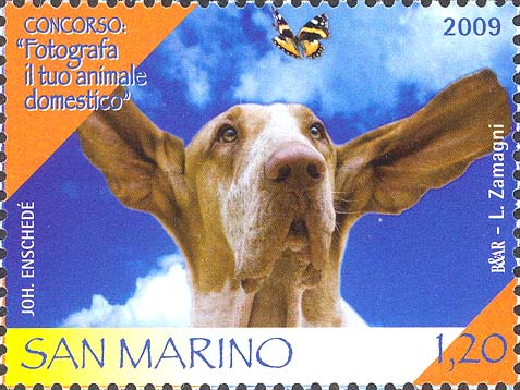 Concorso: fotografa il tuo animale domestico