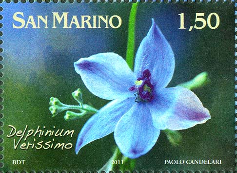 Fiori dedicati a San Marino