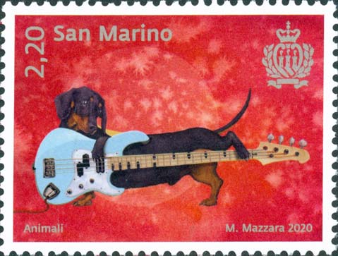 Animali - Cane che suona una chitarra elettrica