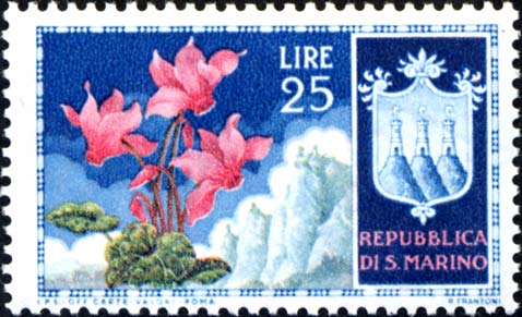 Blumen - Alpenveilchen