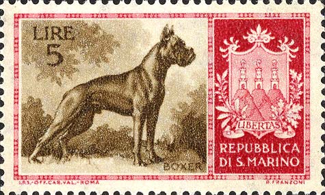 Reinrassige Hunde - Boxer