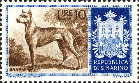 Reinrassige Hunde - Dogge