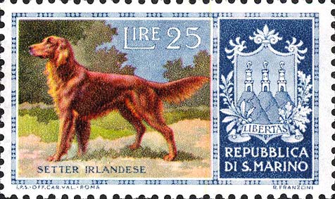 Reinrassige Hunde - Irish Setter