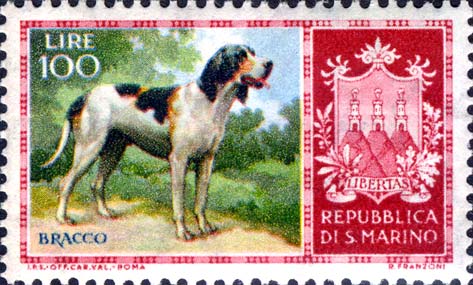 Reinrassige Hunde - Zeiger