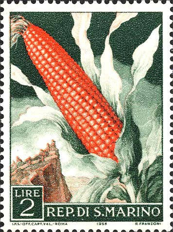 Landwirtschaftliche Produkte - Mais