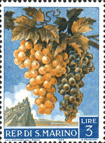 Landwirtschaftliche Produkte - Traube