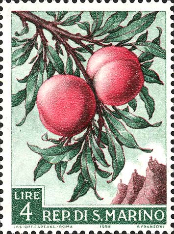 Landwirtschaftliche Produkte - Pfirsiche