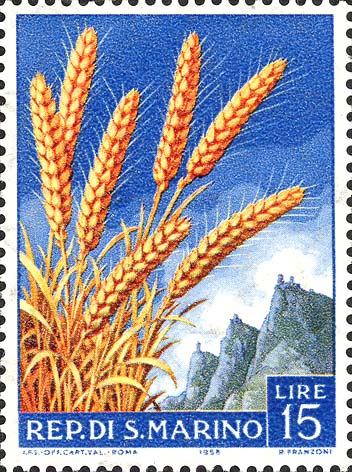 Landwirtschaftliche Produkte - Weizen