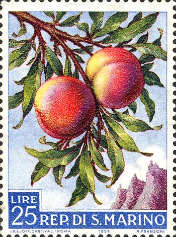 Landwirtschaftliche Produkte - Pfirsiche