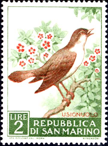 Geflügelfauna - Nachtigall