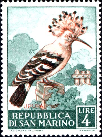 Geflügelfauna - Wiedehopf