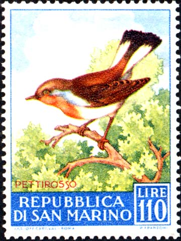 Geflügelfauna - Rotkehlchen