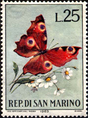 Schmetterlinge - Inachis