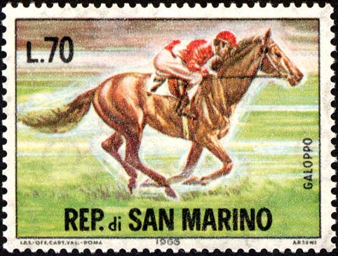 Pferderennen - Galopp