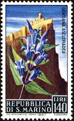 Blumen - Gentiana asclepiadea