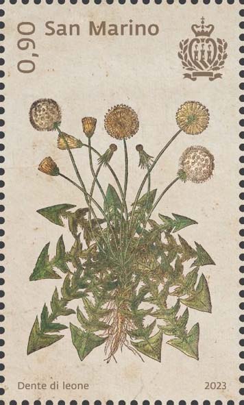 Botanica mirabilis - Dente di leone