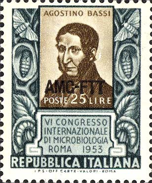 6. Internationaler Mikrobiologie - Kongress in Rom - Porträt von Agostino Bassi