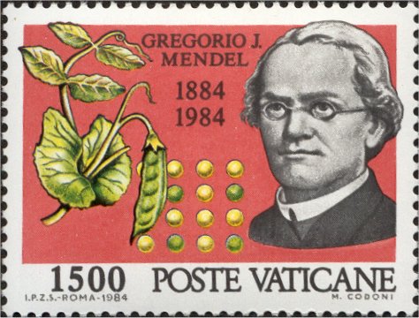 Hundertjähriger Todestag des Biologen Abbé Gregorio J. Mendel