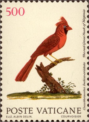 Vögel - Haubenkernbeißer
